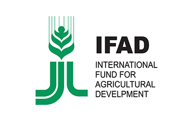 الصندوق الدولي للتنمية الزراعية