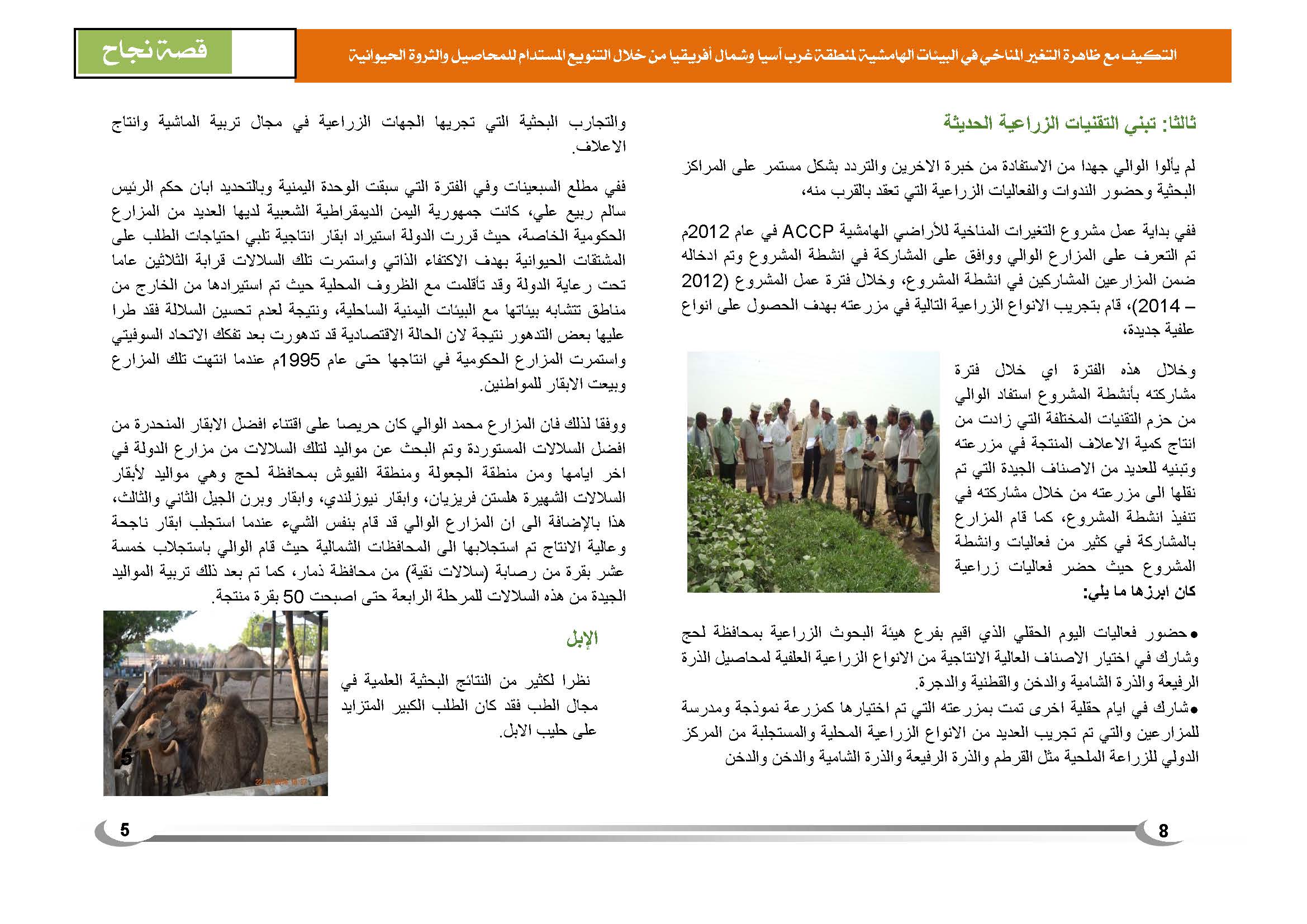 قصة نجاح في الإنتاج الزراعي في اليمن (1)_Page_6