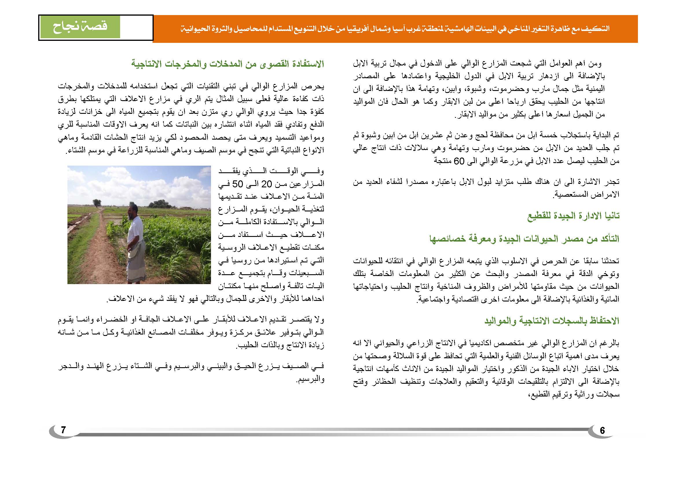 قصة نجاح في الإنتاج الزراعي في اليمن (1)_Page_7