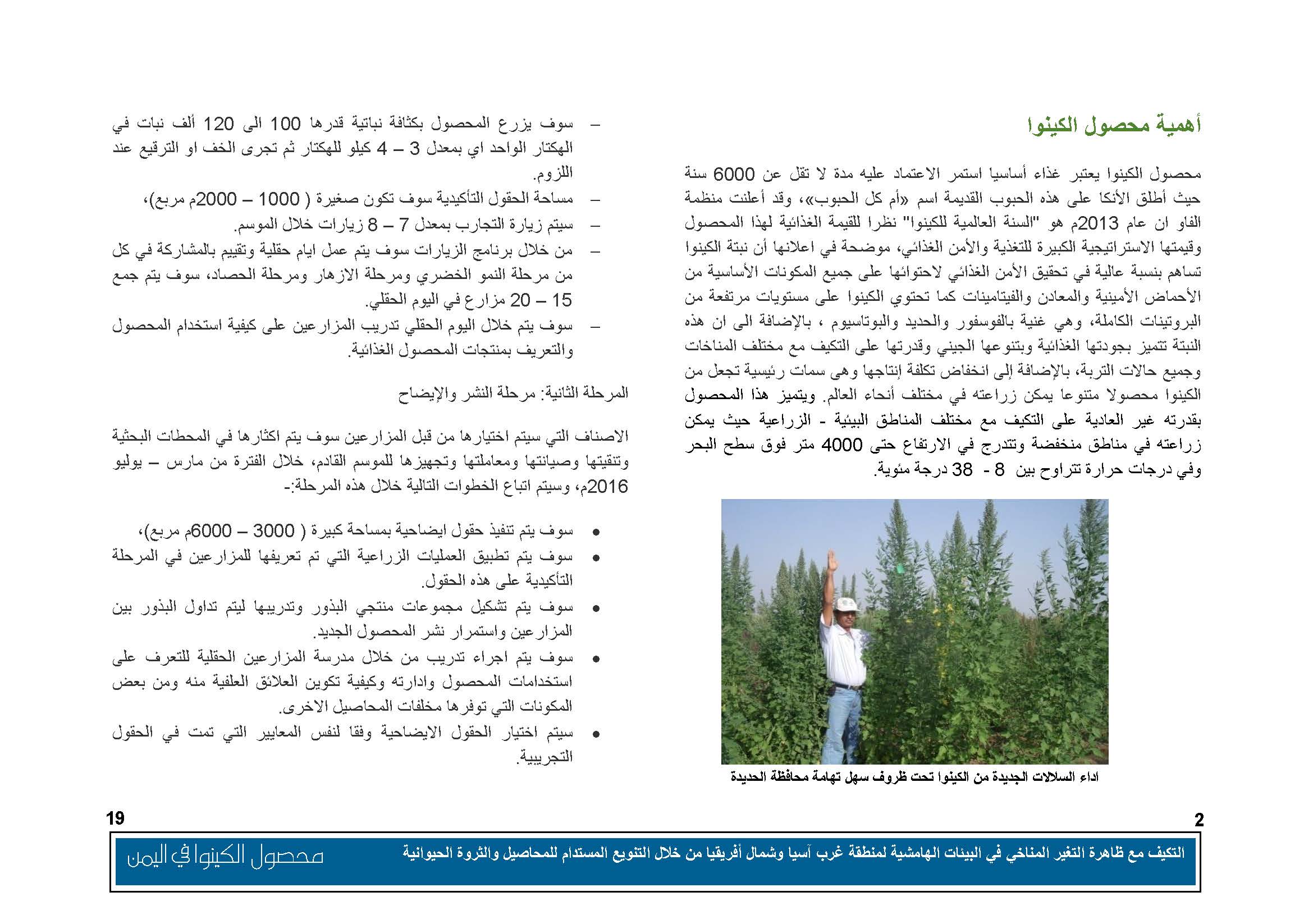 محصول الكينوا في اليمن (1)_Page_03