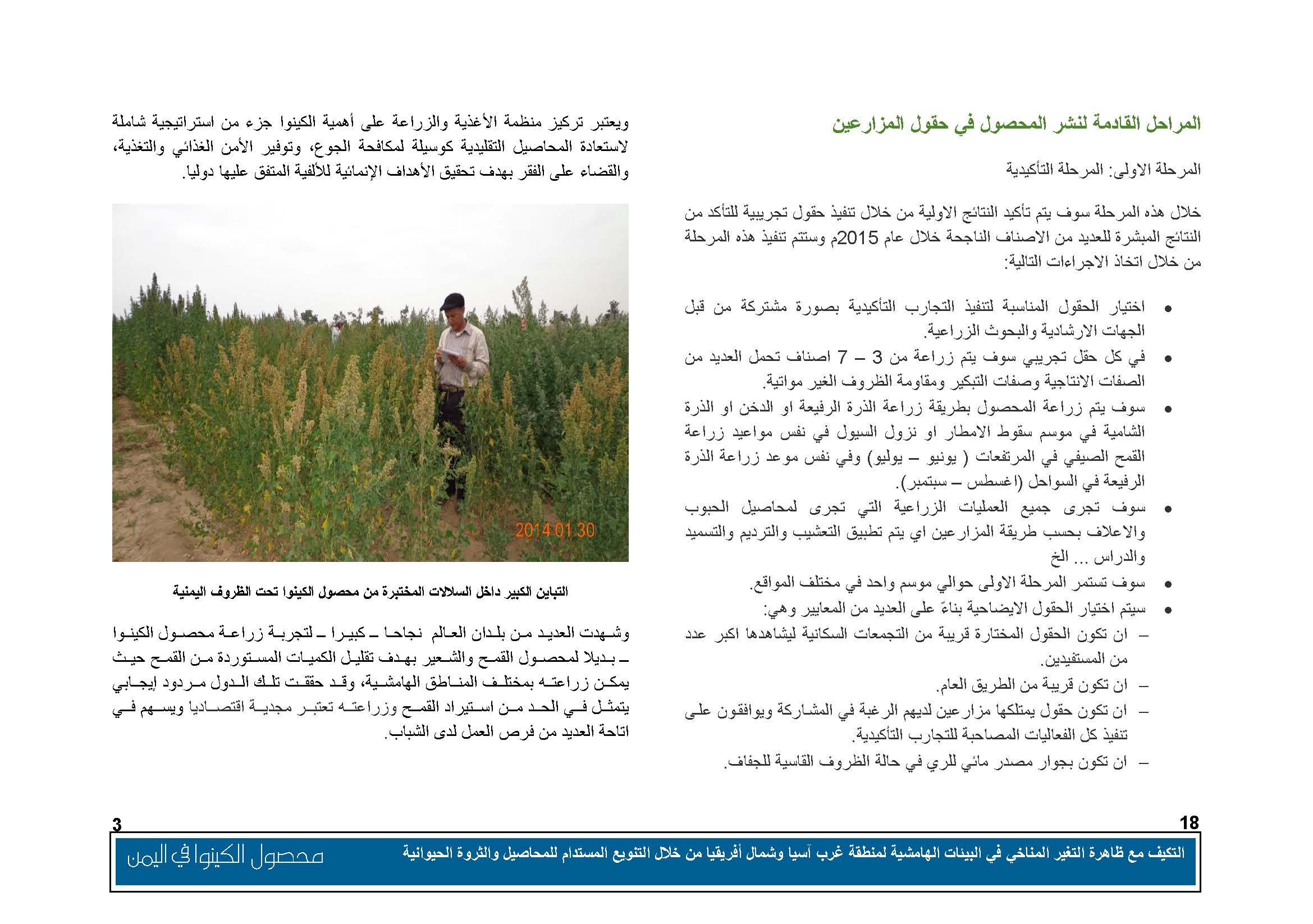 محصول الكينوا في اليمن (1)_Page_04
