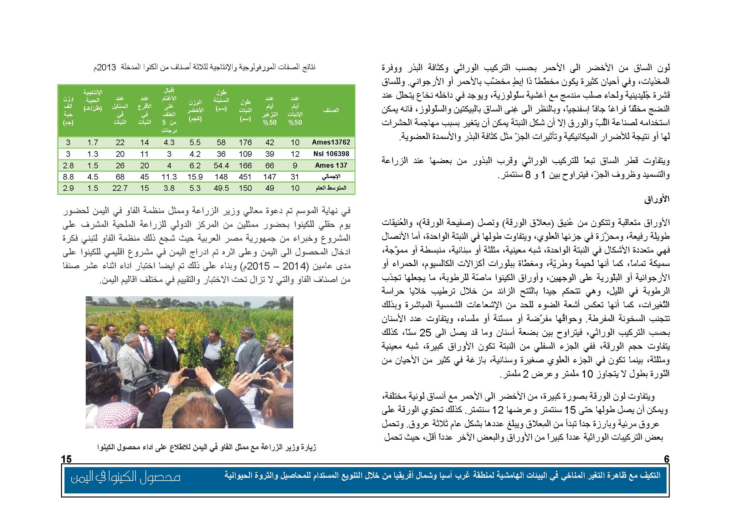 محصول الكينوا في اليمن (1)_Page_07