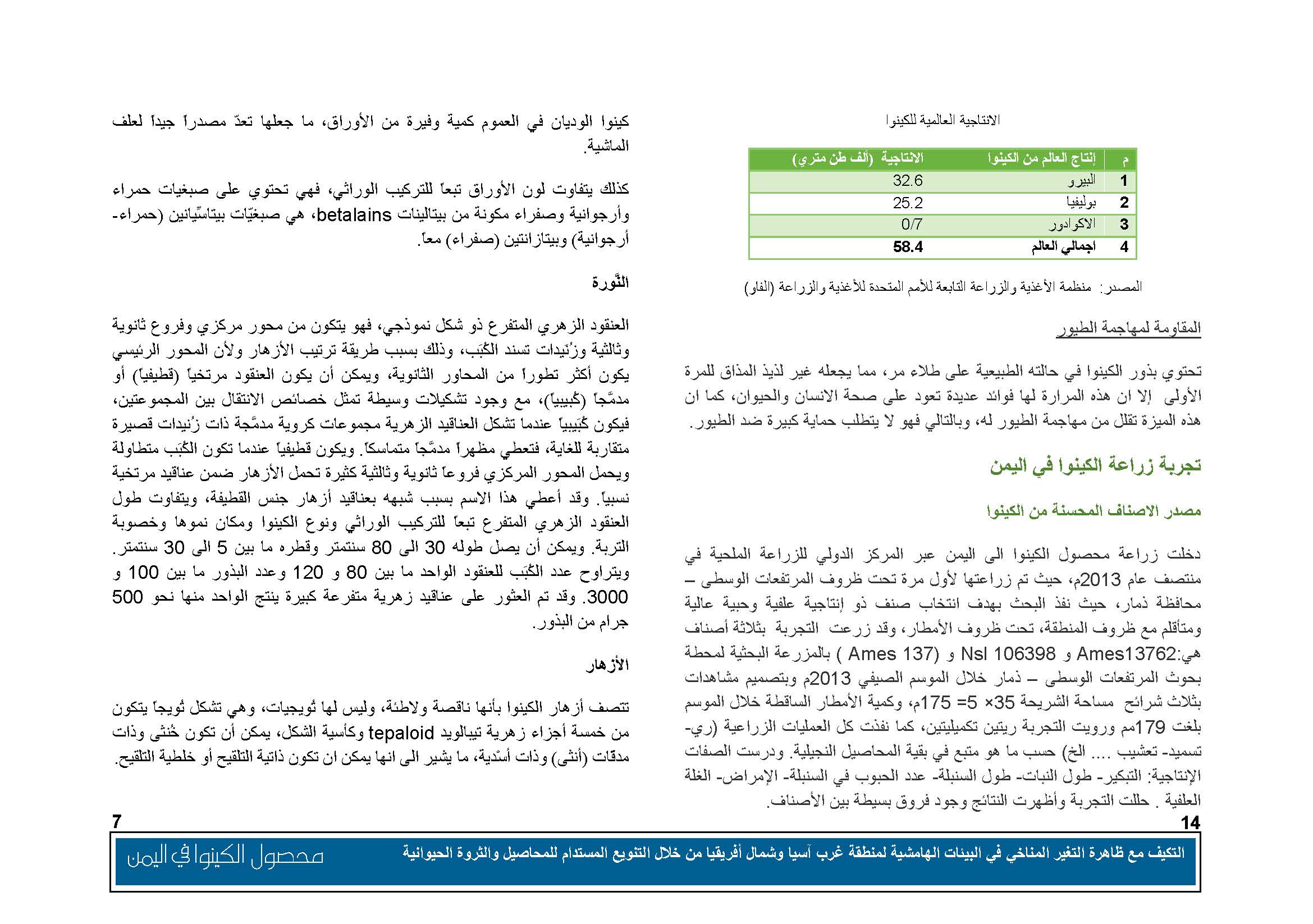محصول الكينوا في اليمن (1)_Page_08